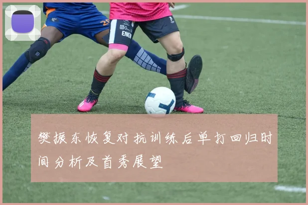 樊振东恢复对抗训练后单打回归时间分析及首秀展望